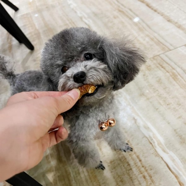 YIDE 4 Pack Cat & Dog Copper Bells - Pet Tracker Training | Pet Collar Accessories | Save Birds & Wildlife(Small)